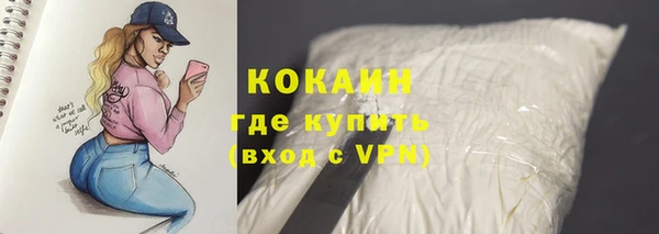 стафф Богородицк