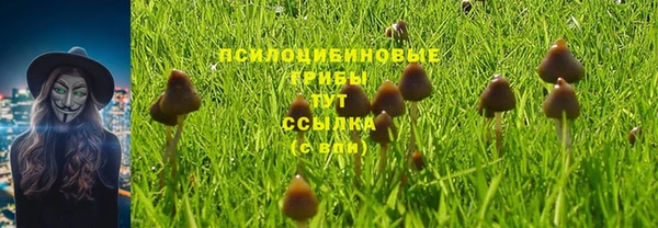 стафф Богородицк