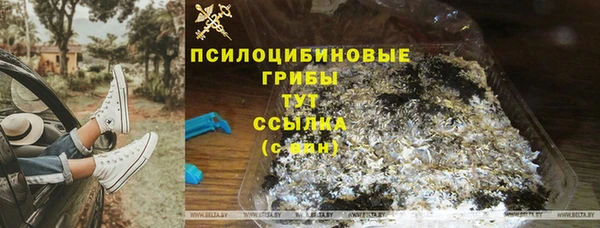 марки lsd Бородино